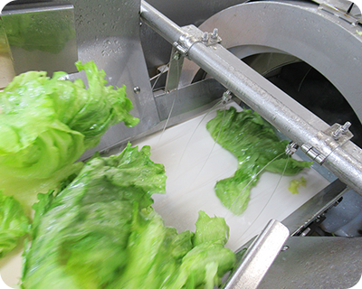 全自動野菜計量機